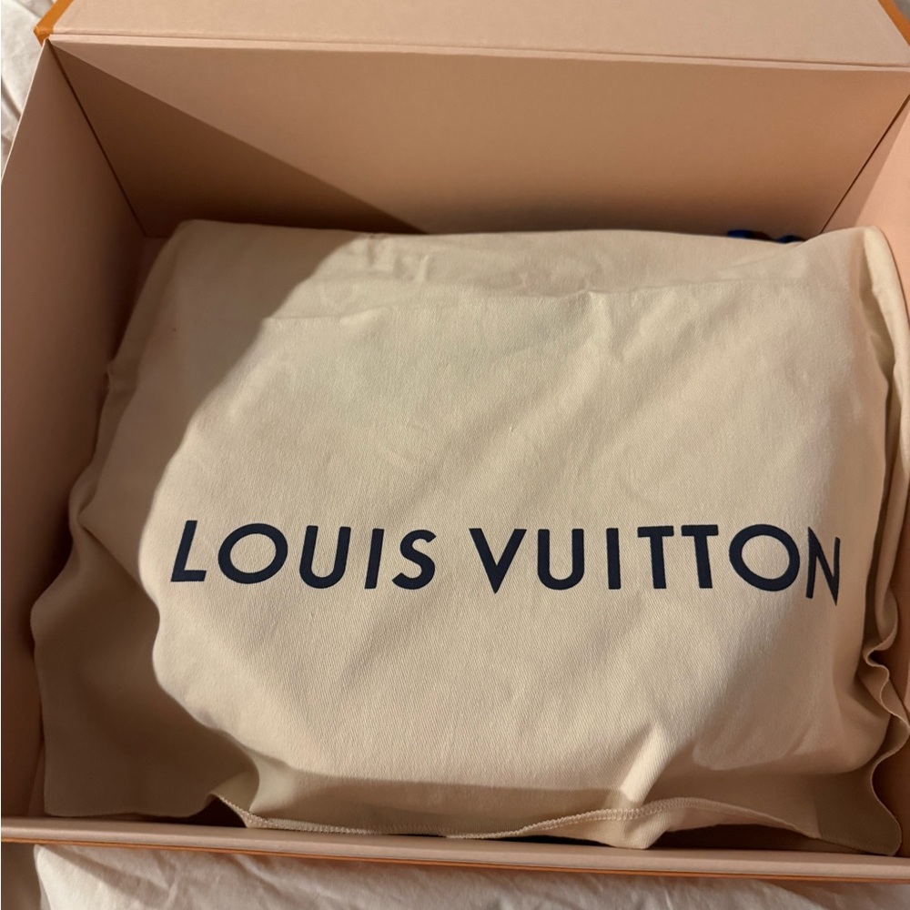 Louis Vuitton Monogram Loop Hobo - Like New - Picture 2 of 8
